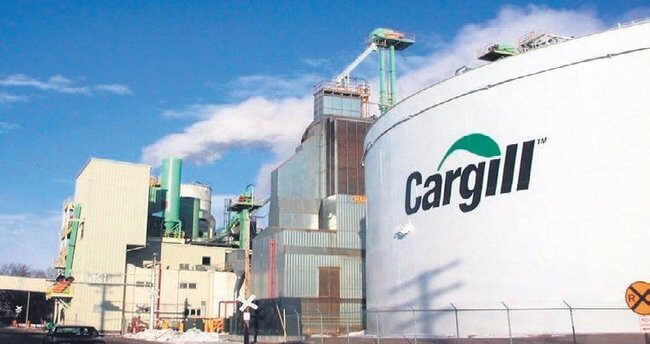 Cargill çalışanları, gıda güvenliği ve sürdürülebilir tarım projelerinde çalışıyor